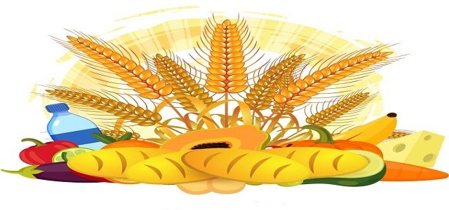 U.S. Organic Rice Protein Market Global Size, Drivers, Restraints & Forecast to 2026