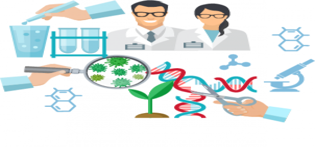 Electronic Skin Market 2020 By Revenue, Top Trend & Regional Growth Forecast