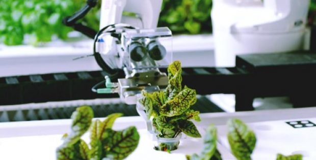 worlds first autonomous farm iron ox