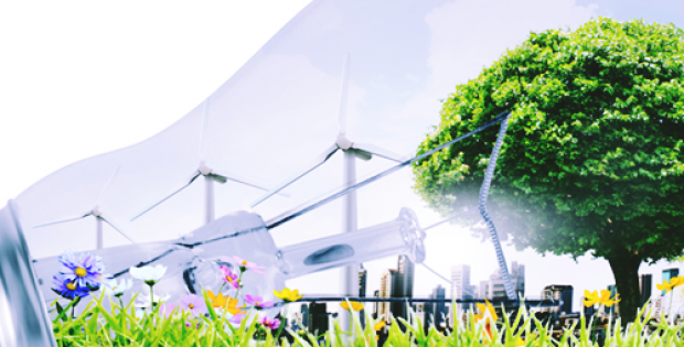 renewable electricity
