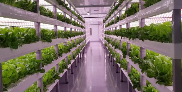 Vertical Farming Market