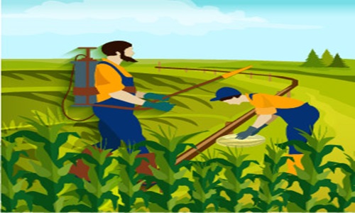 Glucomannan Market 2019: Insights and Forecast Research Report 2025
