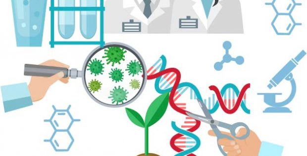 Fluorescence In-situ Hybridization Probe Market